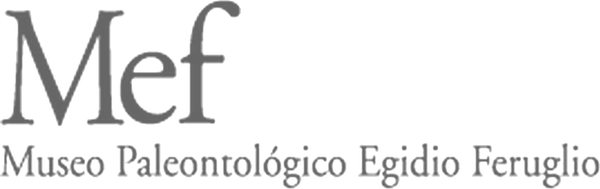 Museo Paleontológico Egidio Feruglio Museo Paleontológico Egidio Feruglio